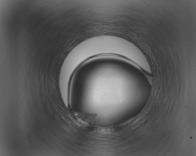 X0000083550384200702240118