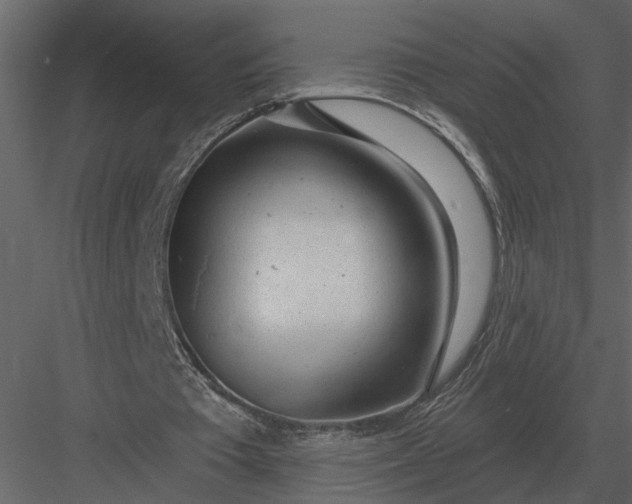 X0000083550385200702240117