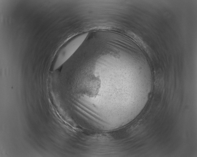 X0000083550386200702240117