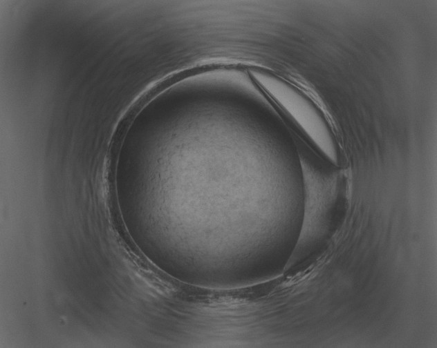 X0000083550387200702240117