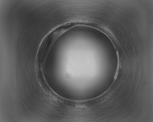 X0000083550388200702240117