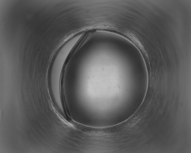 X0000083550389200702240117