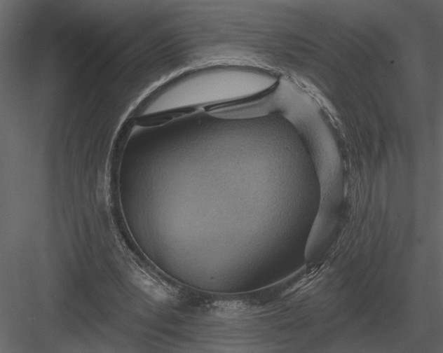 X0000083550391200702240117