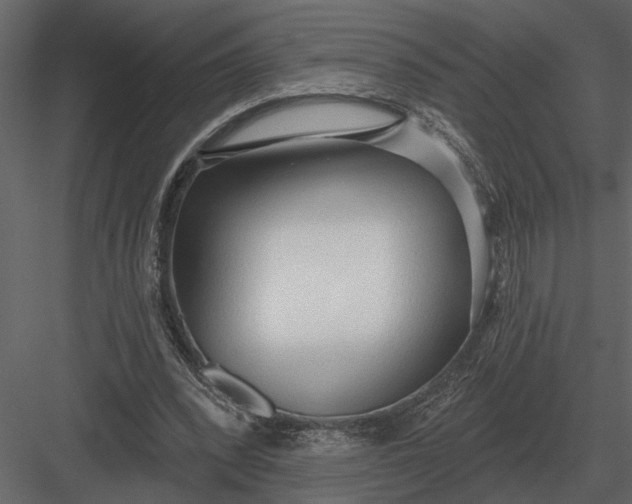 X0000083550392200702240117