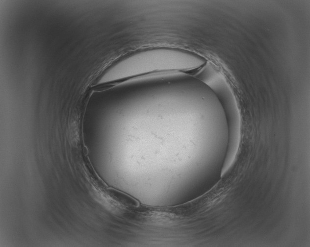 X0000083550393200702240117