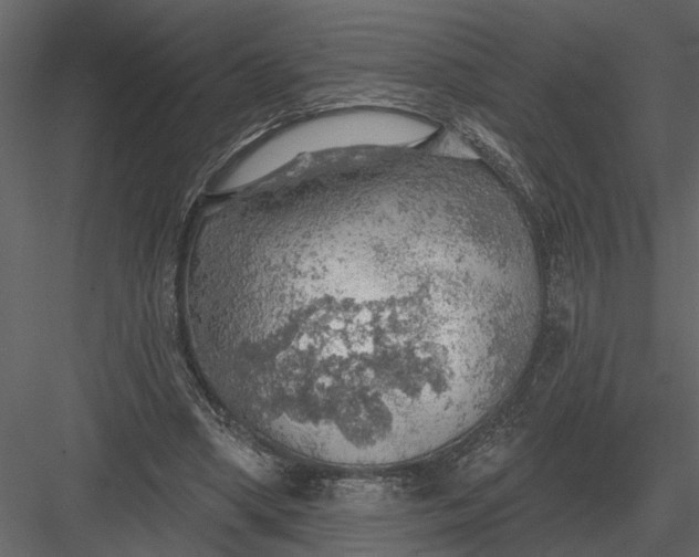 X0000083550394200702240117