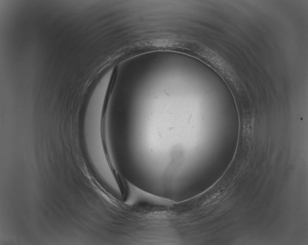 X0000083550397200702240117