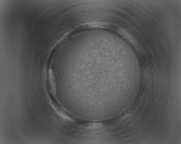 X0000083550398200702240117