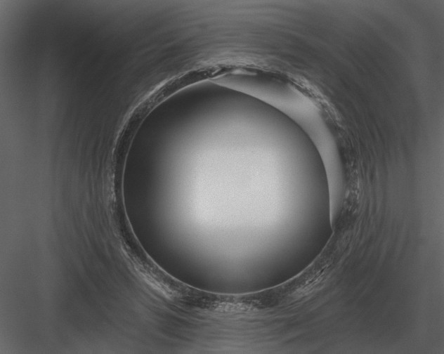 X0000083550399200702240117