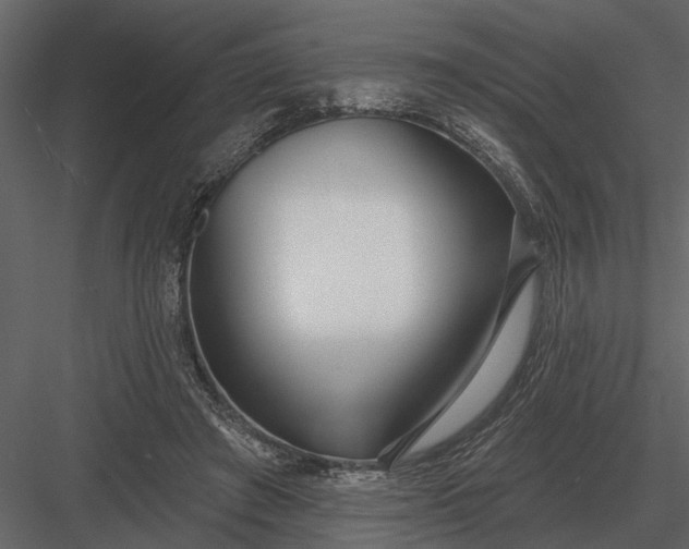X0000083550401200702240116