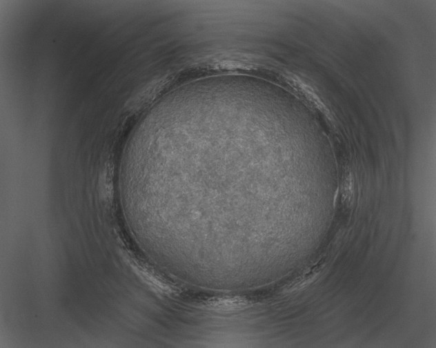 X0000083550402200702240116