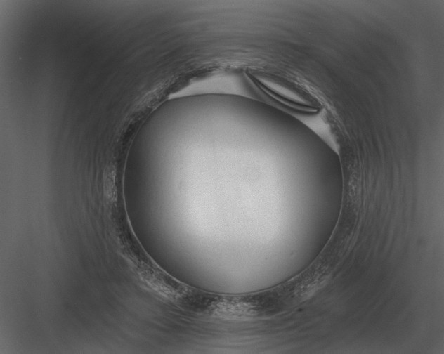 X0000083550403200702240116
