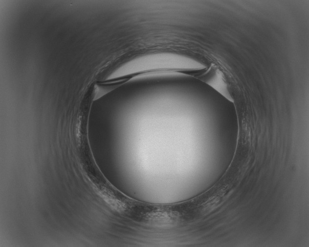 X0000083550404200702240116