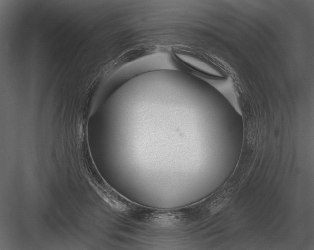 X0000083550405200702240116