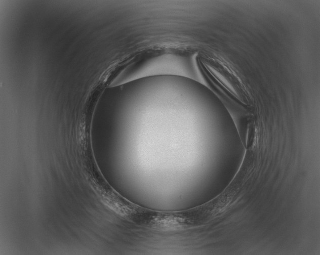 X0000083550407200702240116