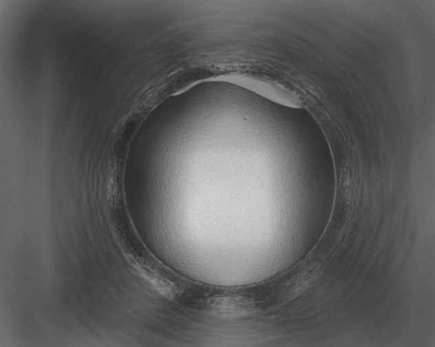 X0000083550408200702240116