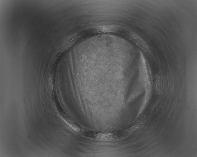 X0000083550410200702240116