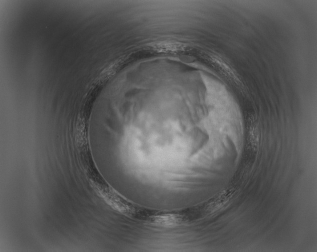 X0000083550411200702240116