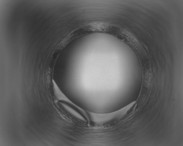 X0000083550413200702240116