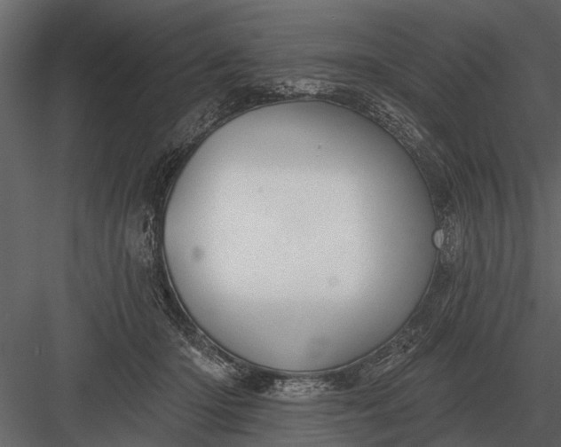 X0000083550414200702240116