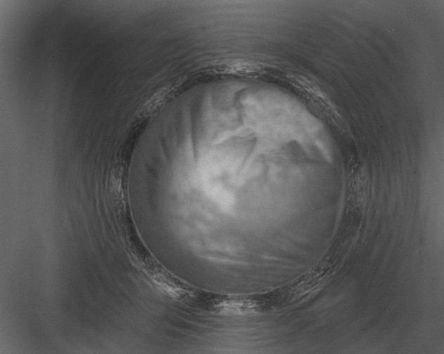 X0000083550415200702240116