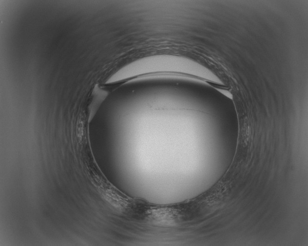 X0000083550417200702240116