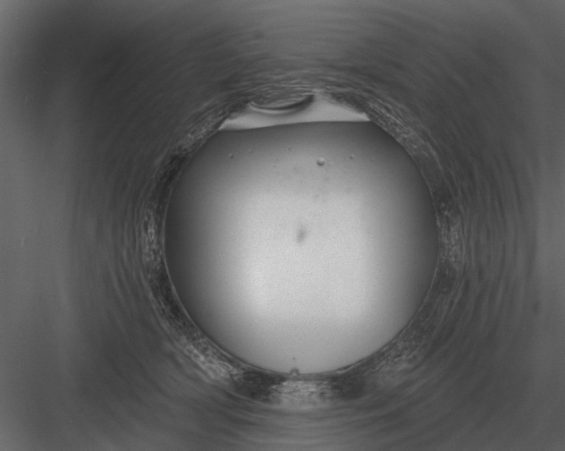 X0000083550418200702240116