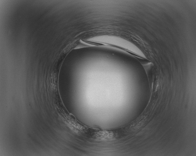 X0000083550421200702240116