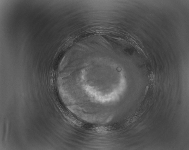 X0000083550423200702240116