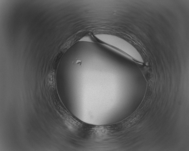 X0000083550425200702240116