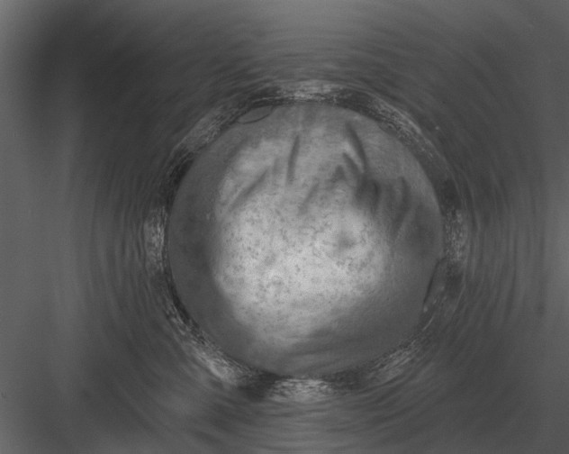 X0000083550427200702240116