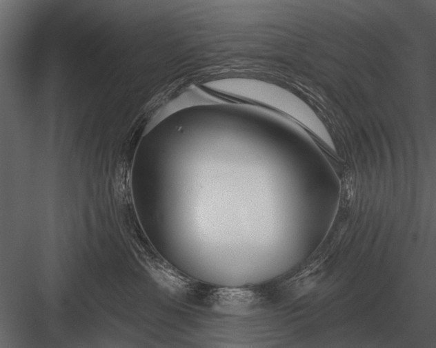 X0000083550429200702240116