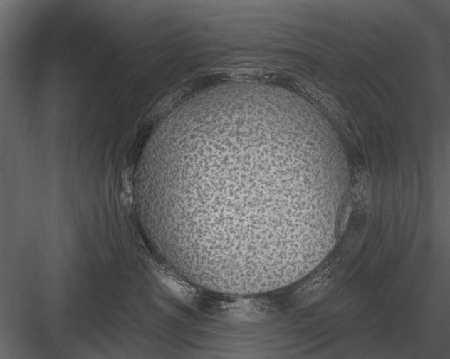 X0000083550430200702240116