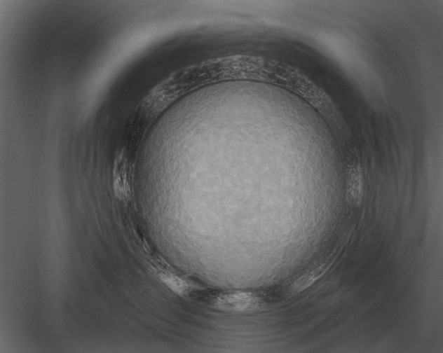X0000083550431200702240116