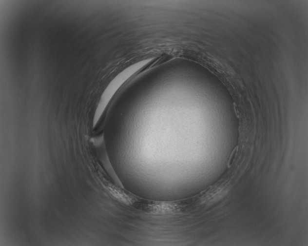 X0000083550432200702240116