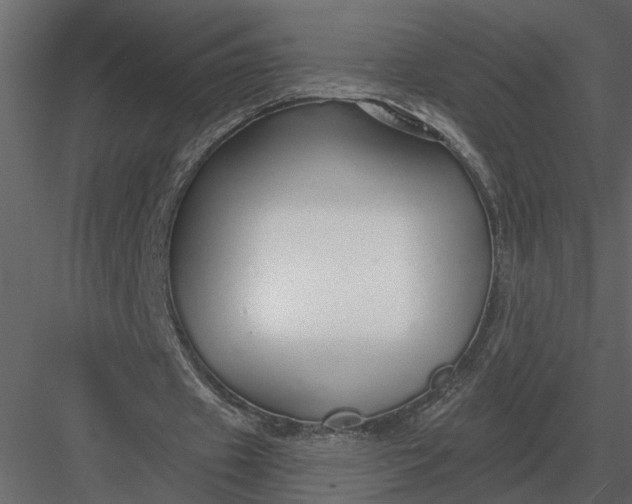 X0000083550433200702240115