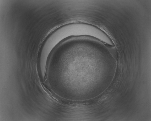 X0000083550434200702240115