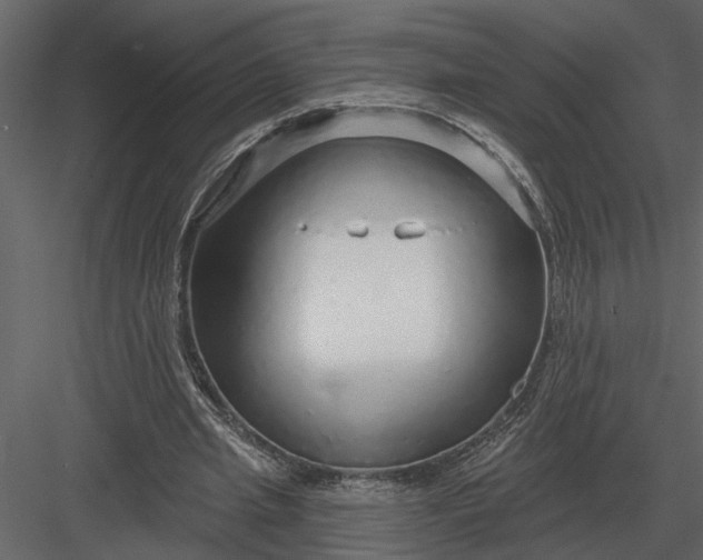 X0000083550437200702240115