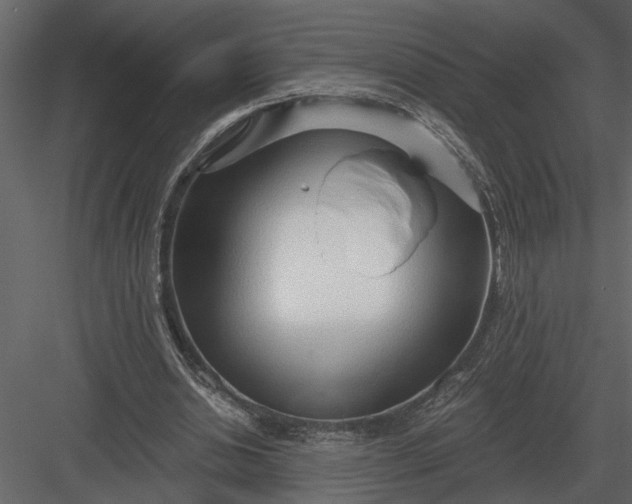 X0000083550438200702240115