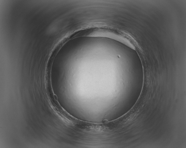 X0000083550439200702240115