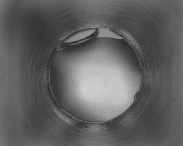 X0000083550441200702240115