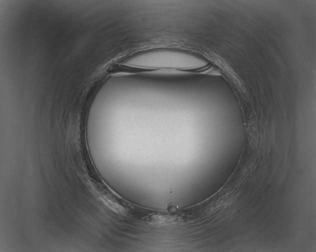 X0000083550442200702240115