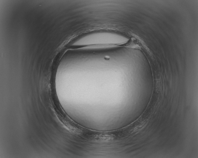 X0000083550443200702240115