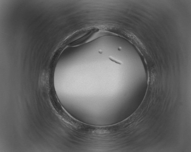 X0000083550444200702240115