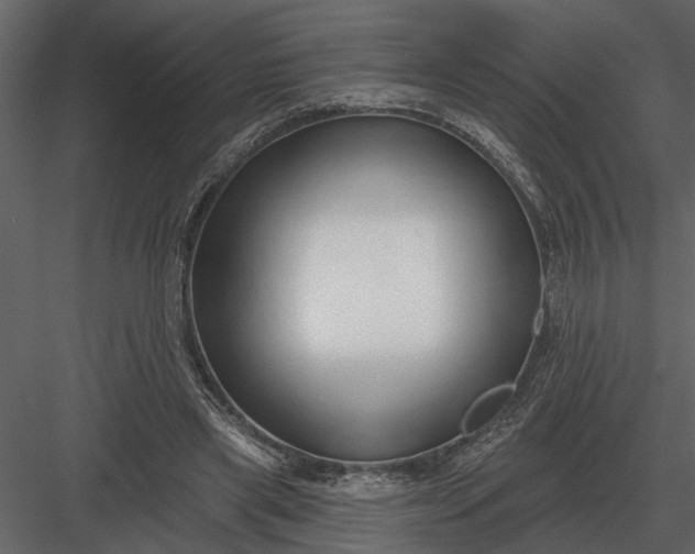X0000083550445200702240115