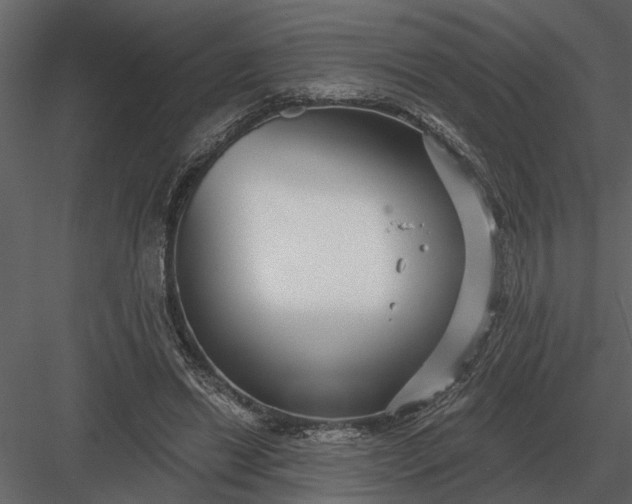 X0000083550446200702240115