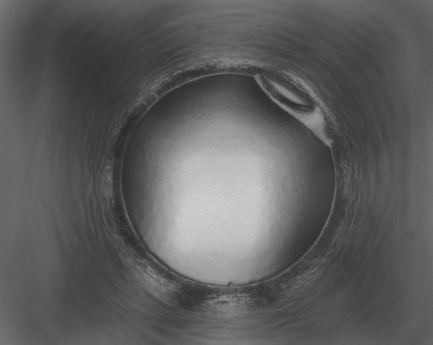 X0000083550447200702240115