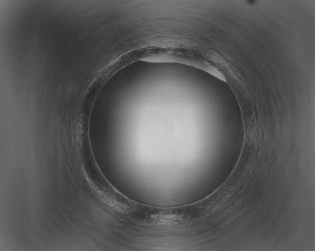 X0000083550448200702240115