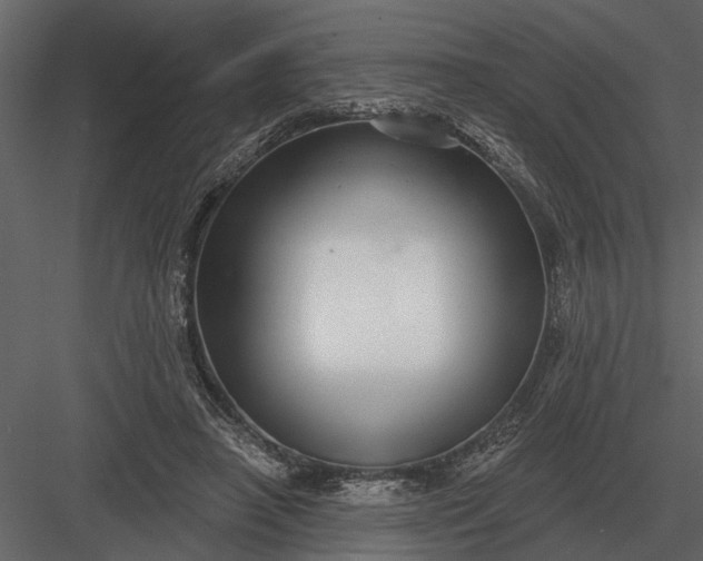 X0000083550450200702240115