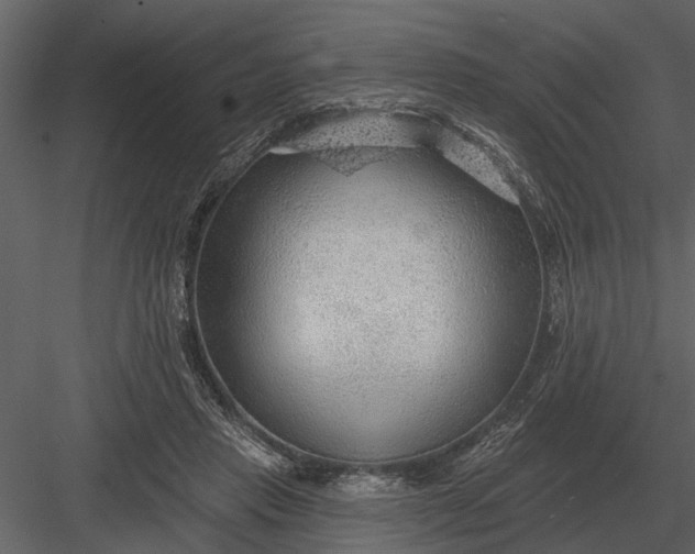 X0000083550453200702240115